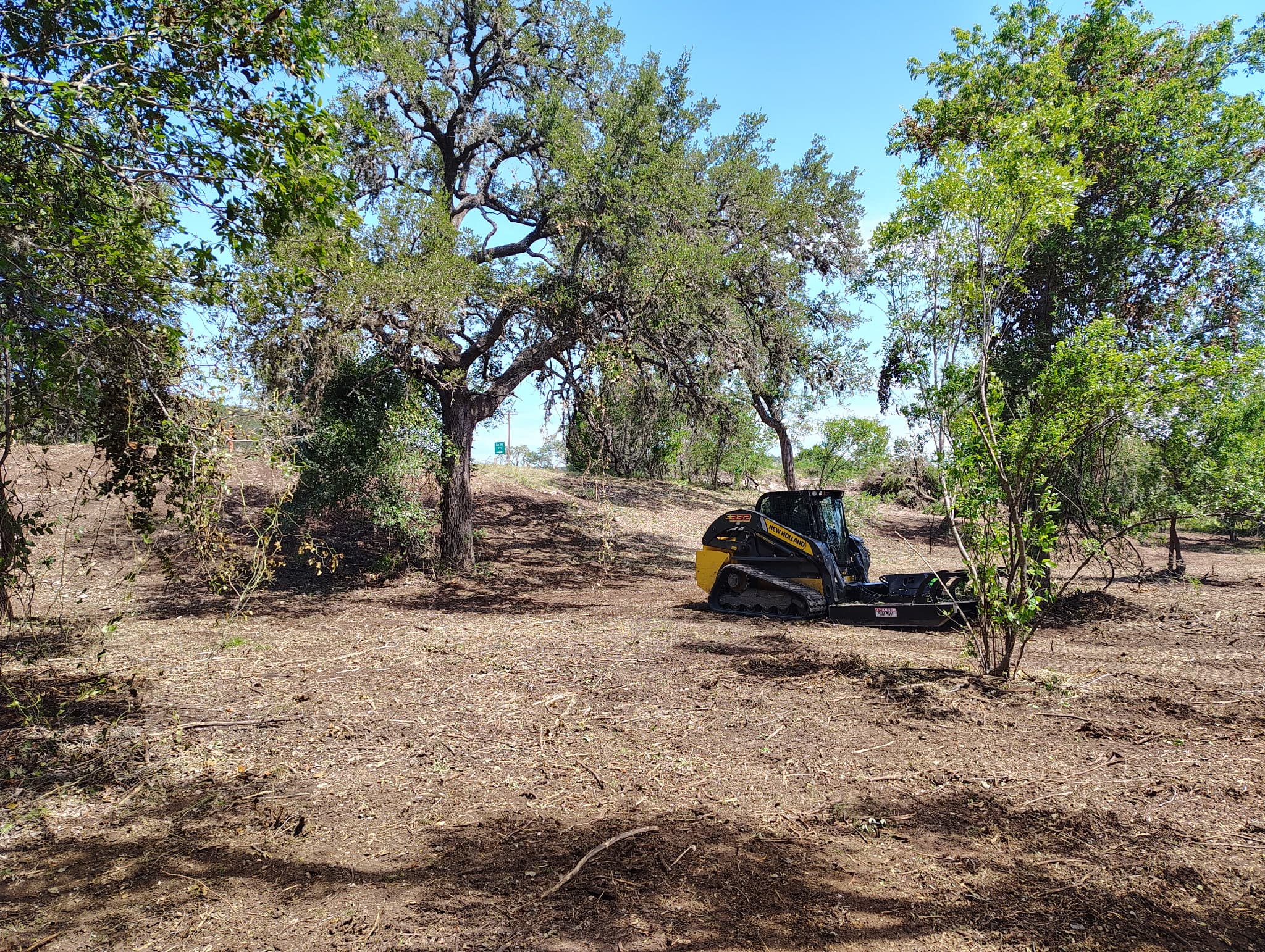 Cedar clearing on a Bandera County ranch