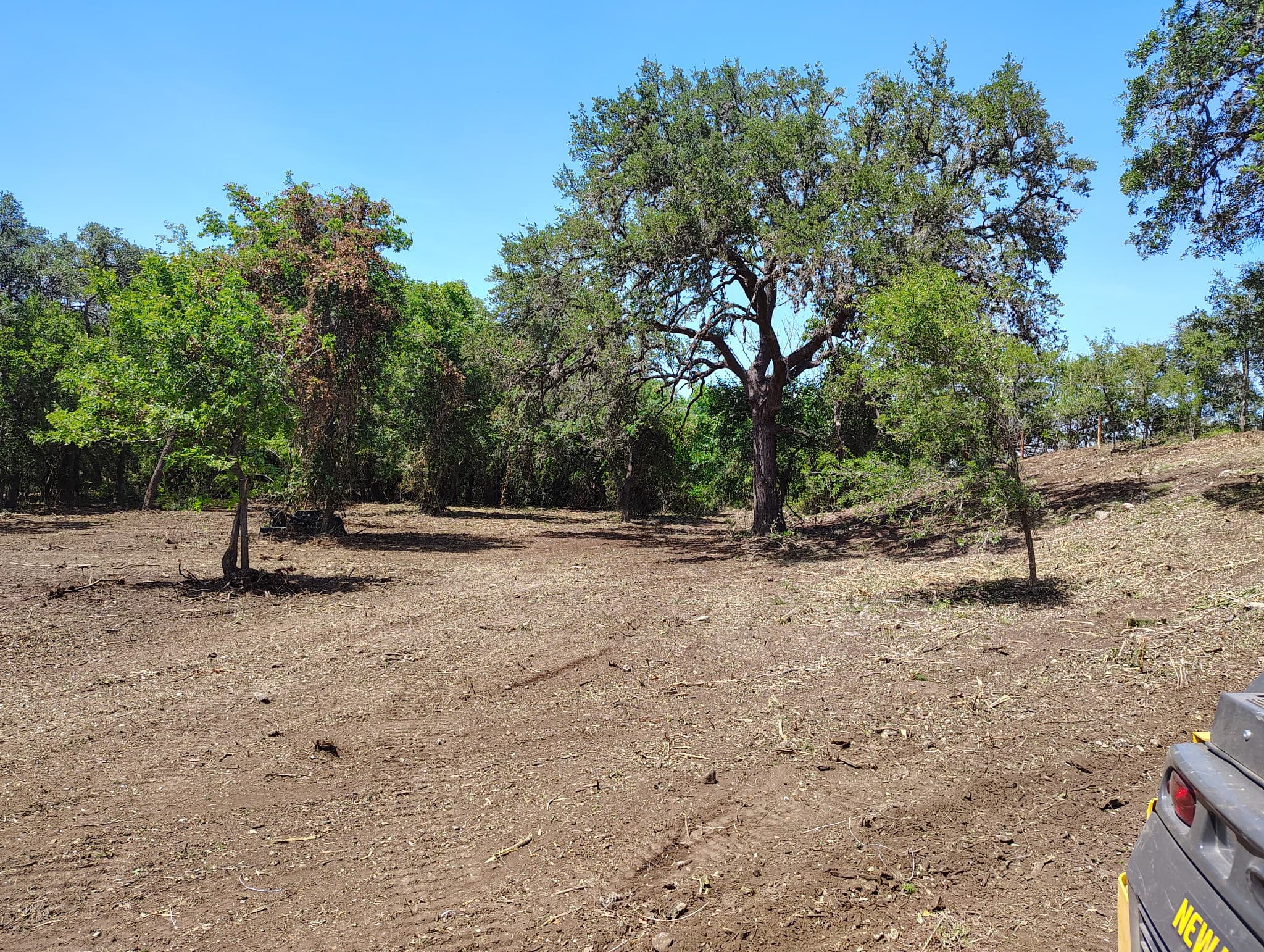 Brush clearing with heavy equipment on Hill Country property