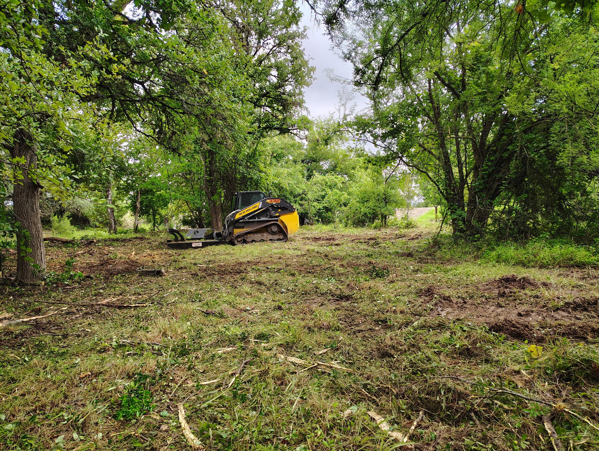 Hill Country acreage clearing project